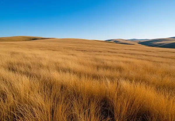 ППЭ обновили регламент согласования
